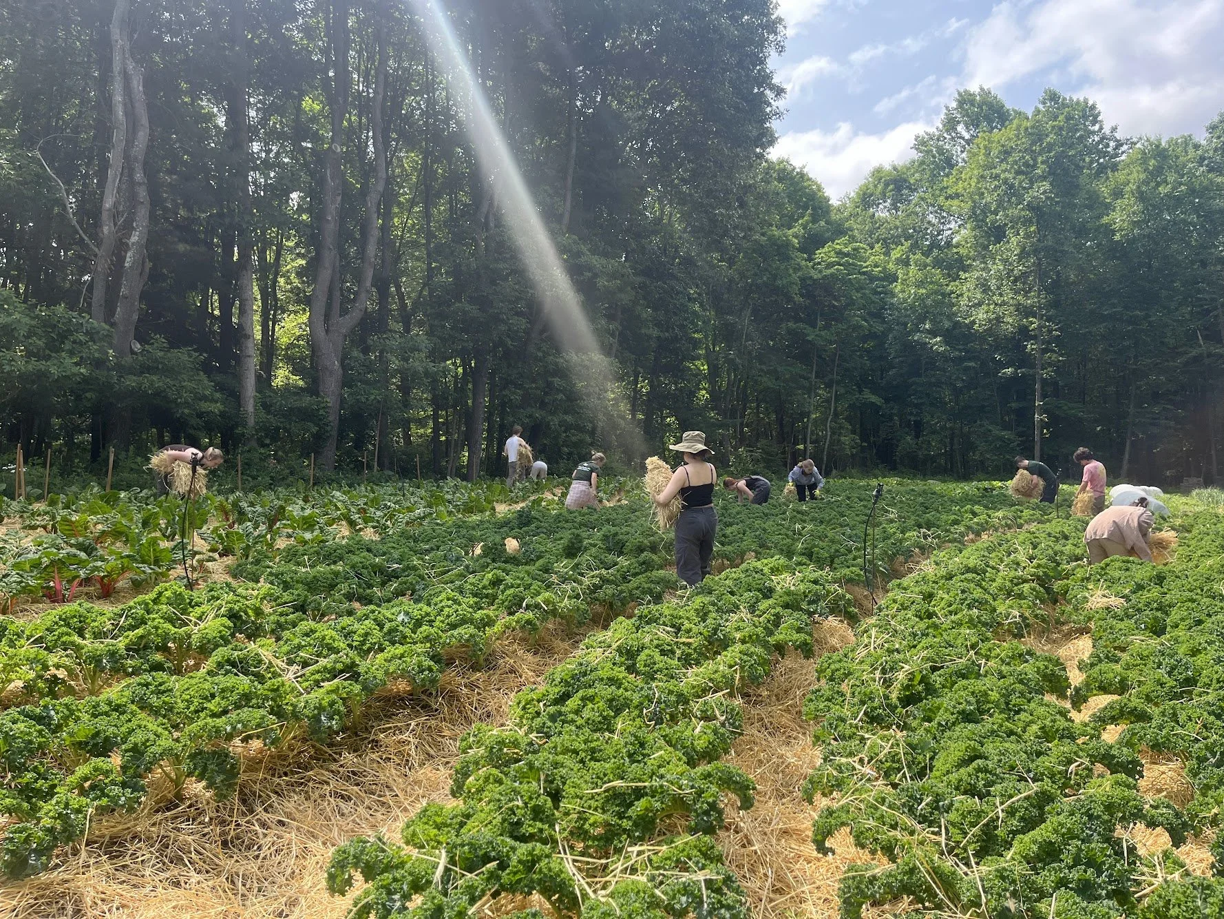 04/26/26 Sunday Farm Volunteer Day