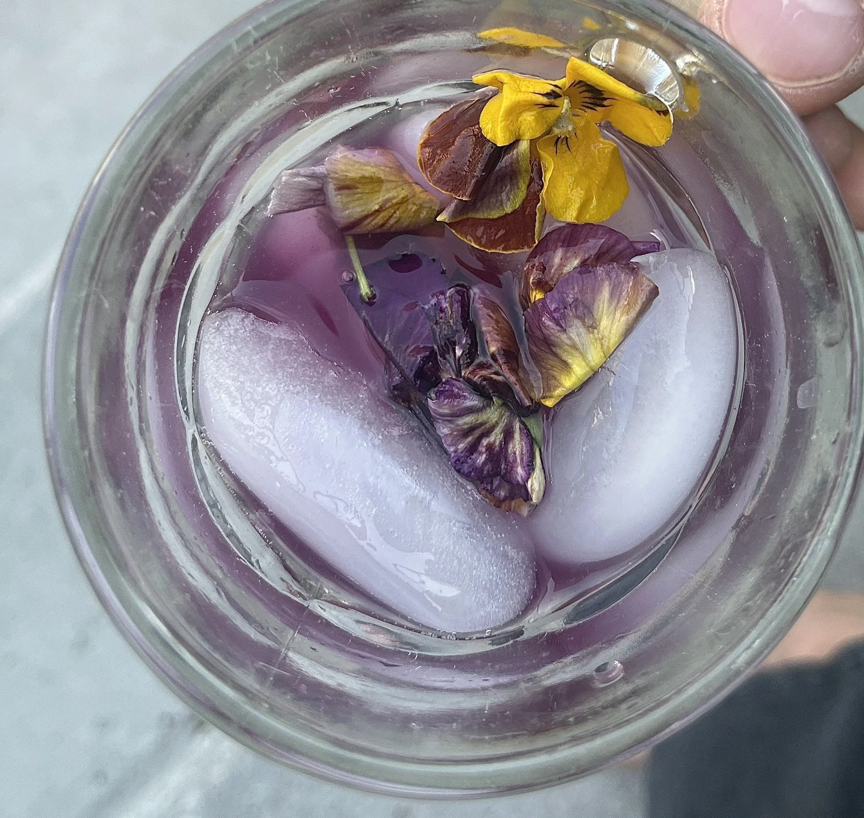 Herbal Beverages and Mocktails