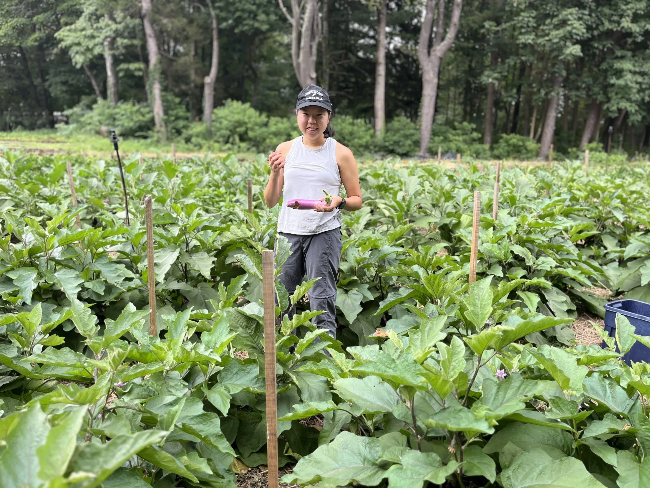 06/14/26 Sunday Farm Volunteer Day