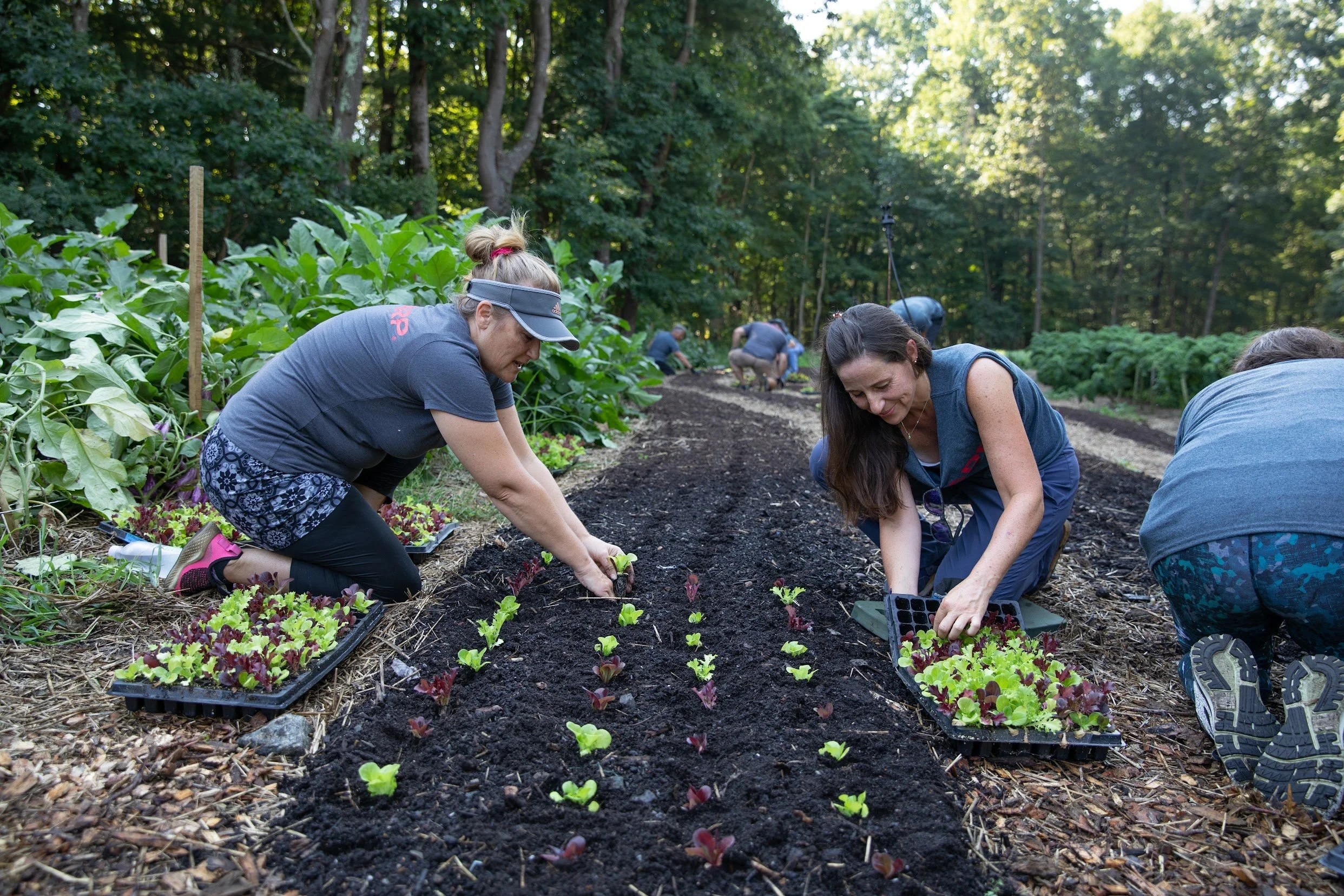 06/21/26 Sunday Farm Volunteer Day