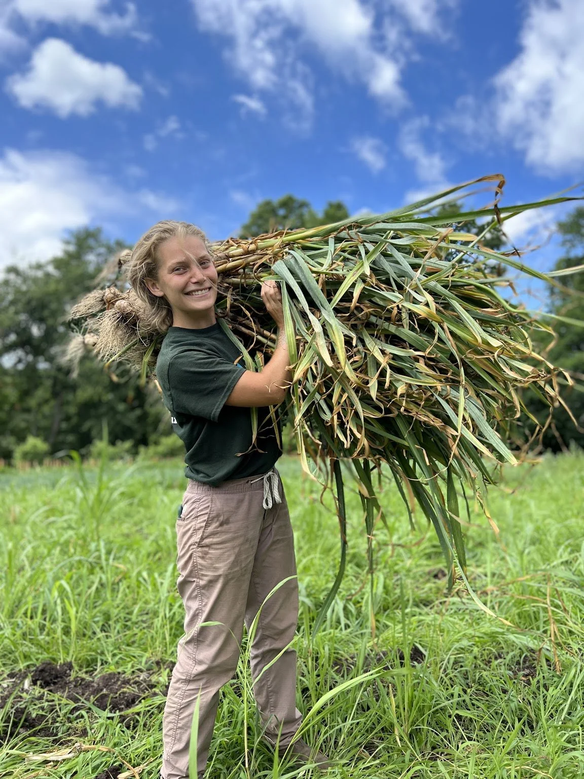 06/27/26 Great Garlic Harvest