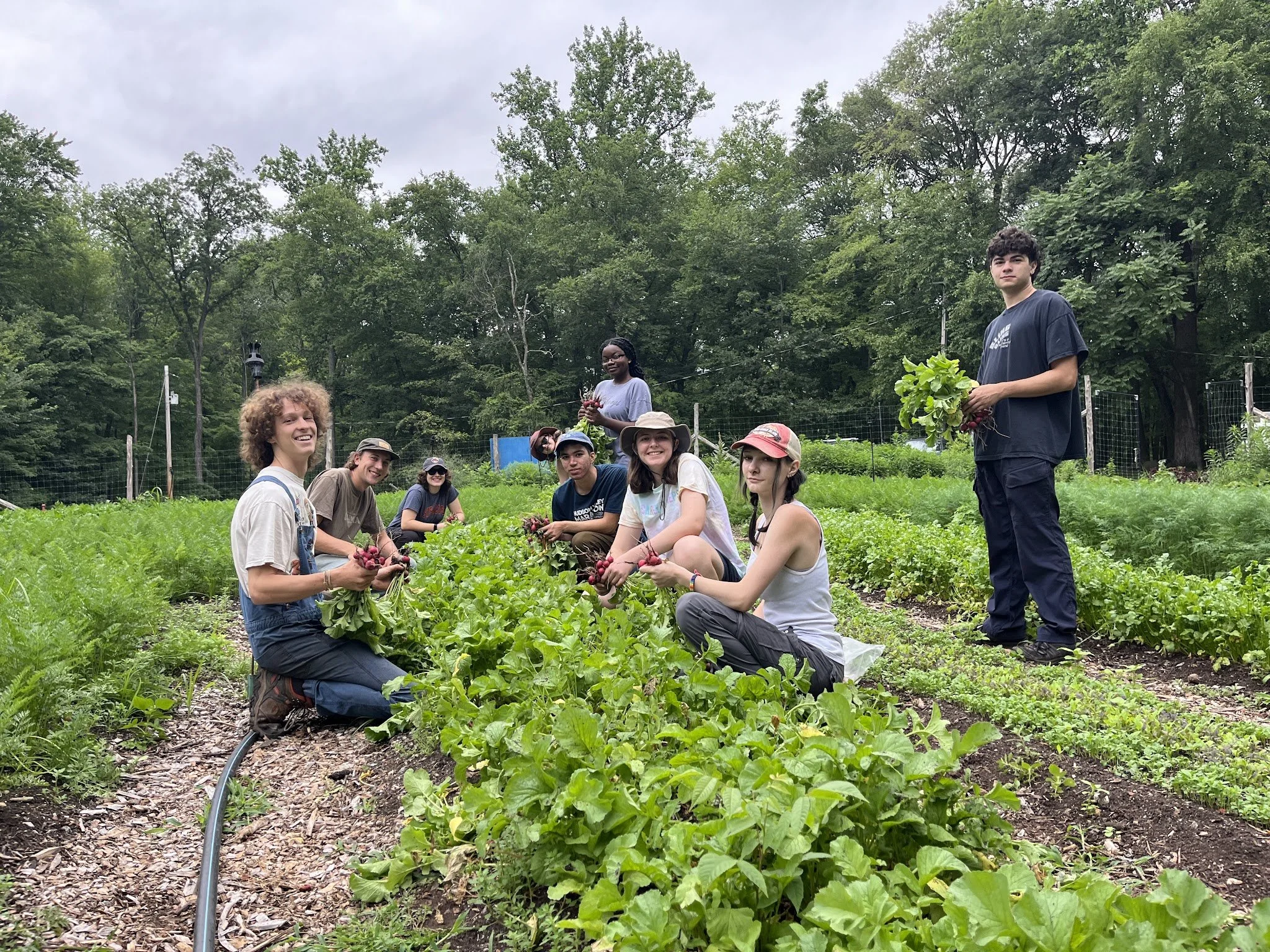 07/05/26 Sunday Farm Volunteer Day