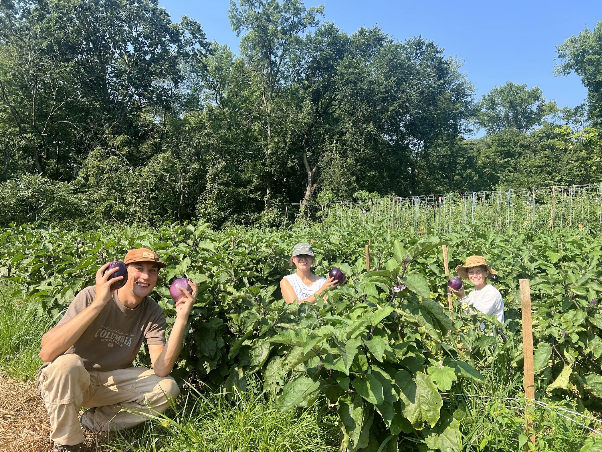 08/02/26 Sunday Farm Volunteer Day