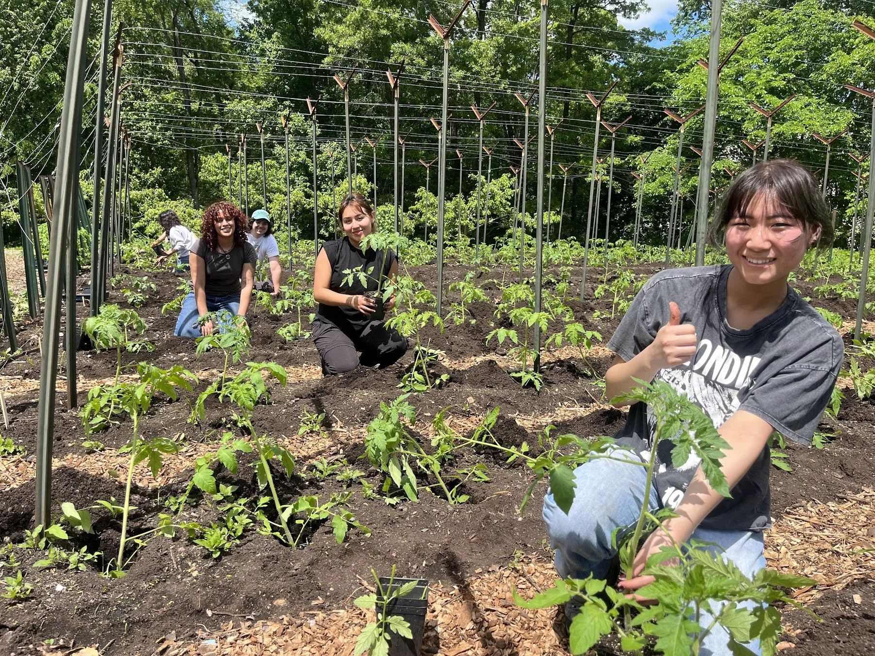 08/09/26 Sunday Farm Volunteer Day