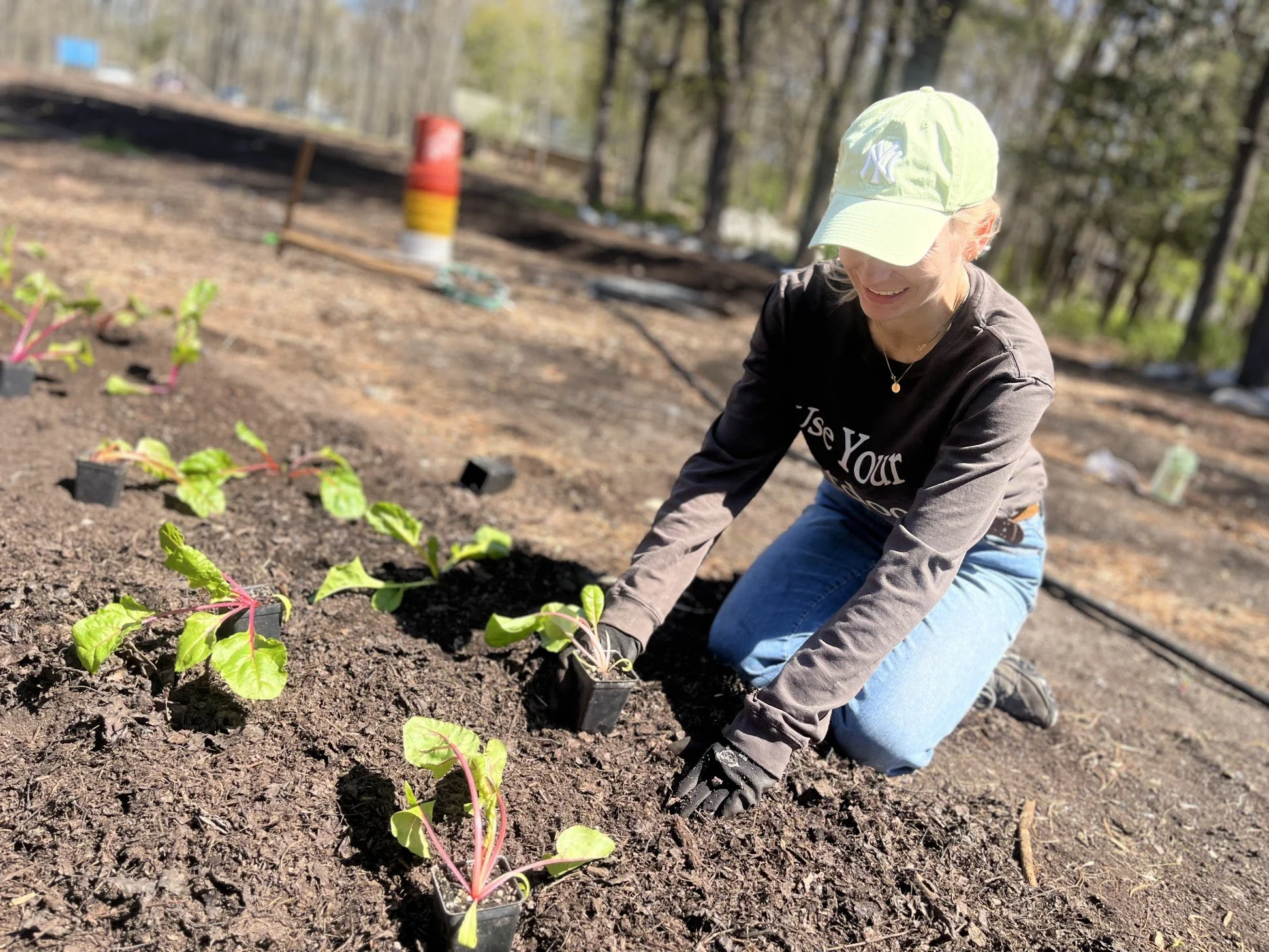 08/30/26 Sunday Farm Volunteer Day
