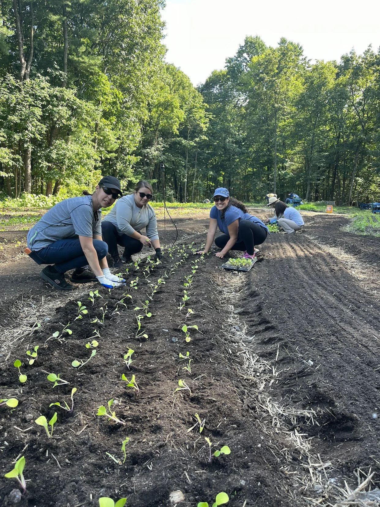 09/06/26 Sunday Farm Volunteer Day