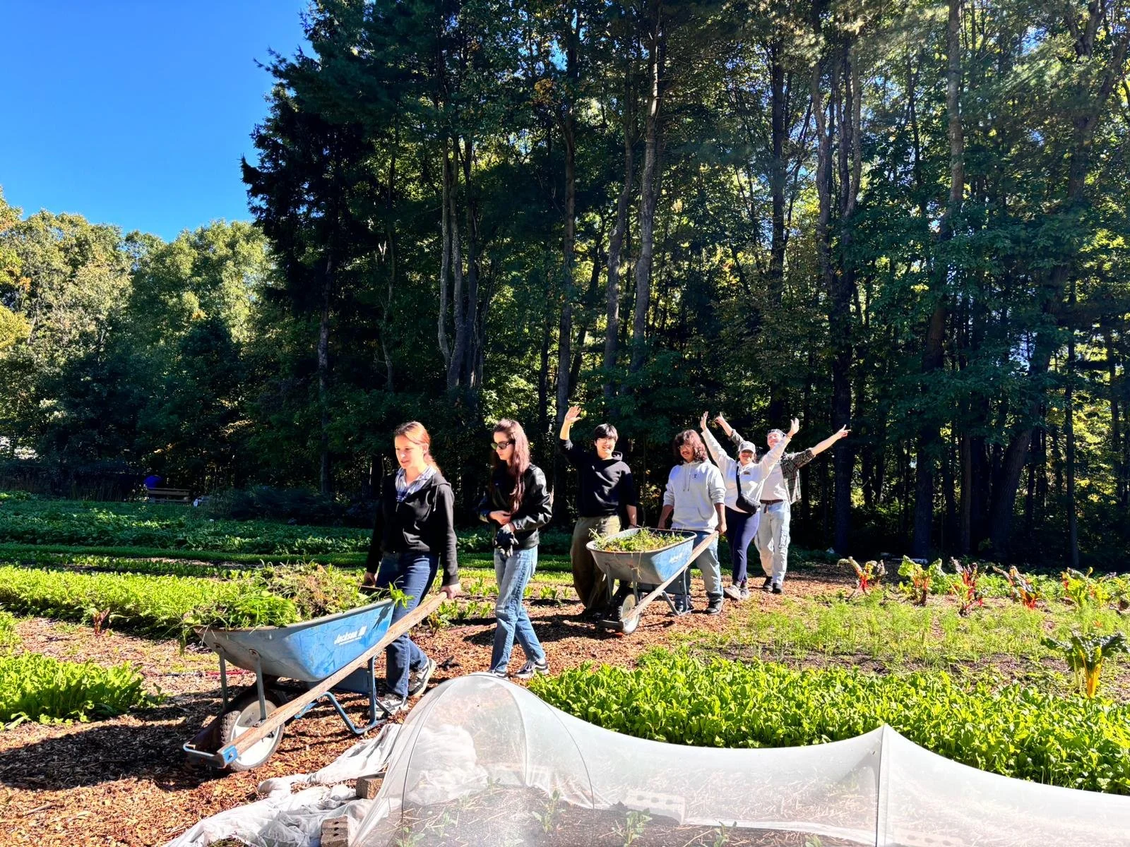 10/11/26 Sunday Farm Volunteer Day