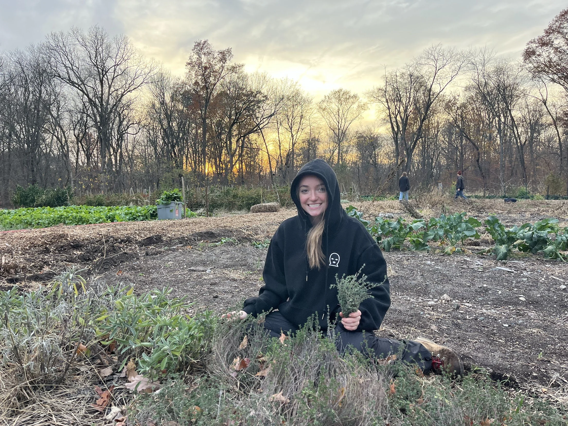 11/01/26 Sunday Farm Volunteer Day