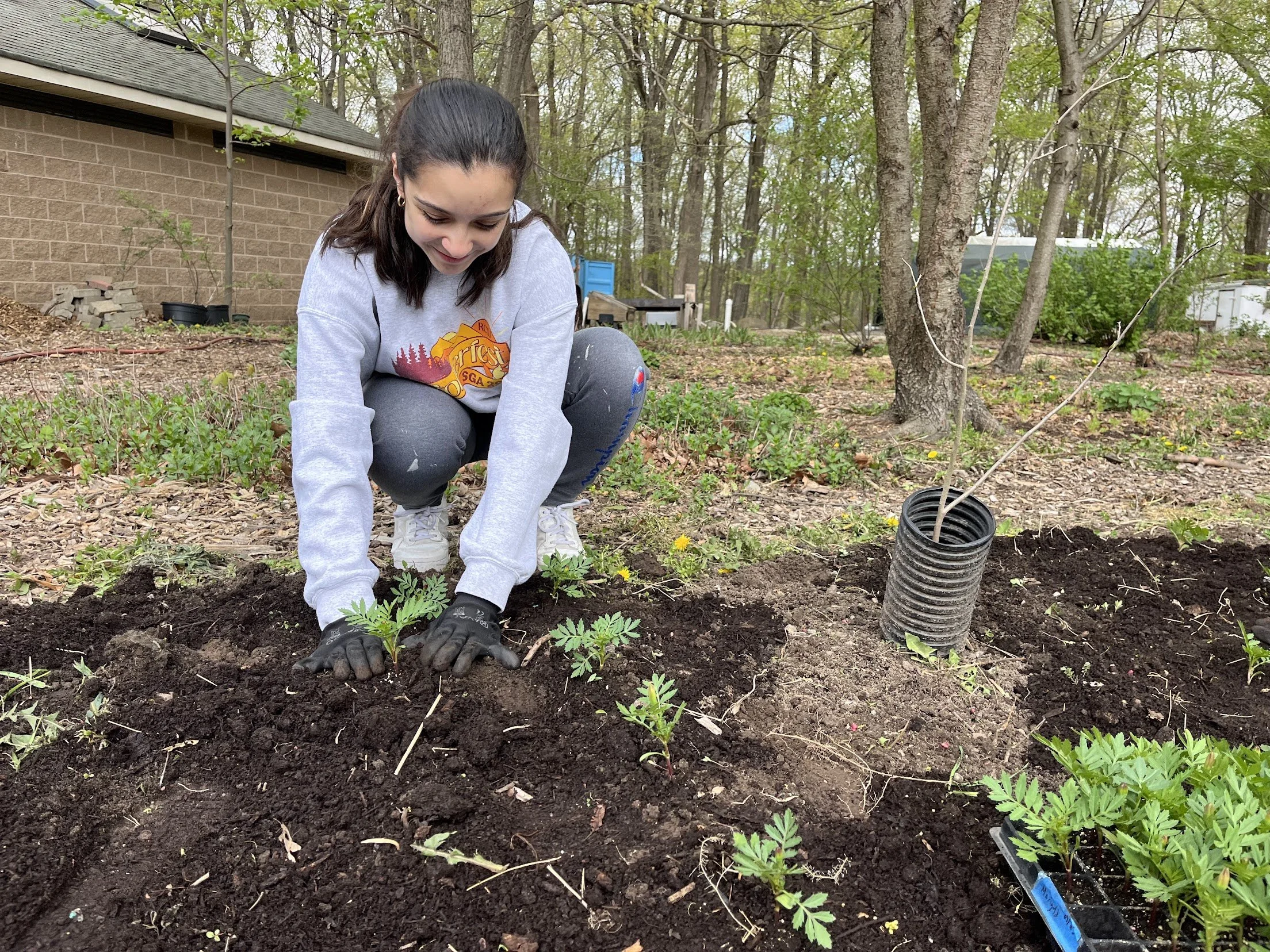 06/28/26 Sunday Farm Volunteer Day (Copy)