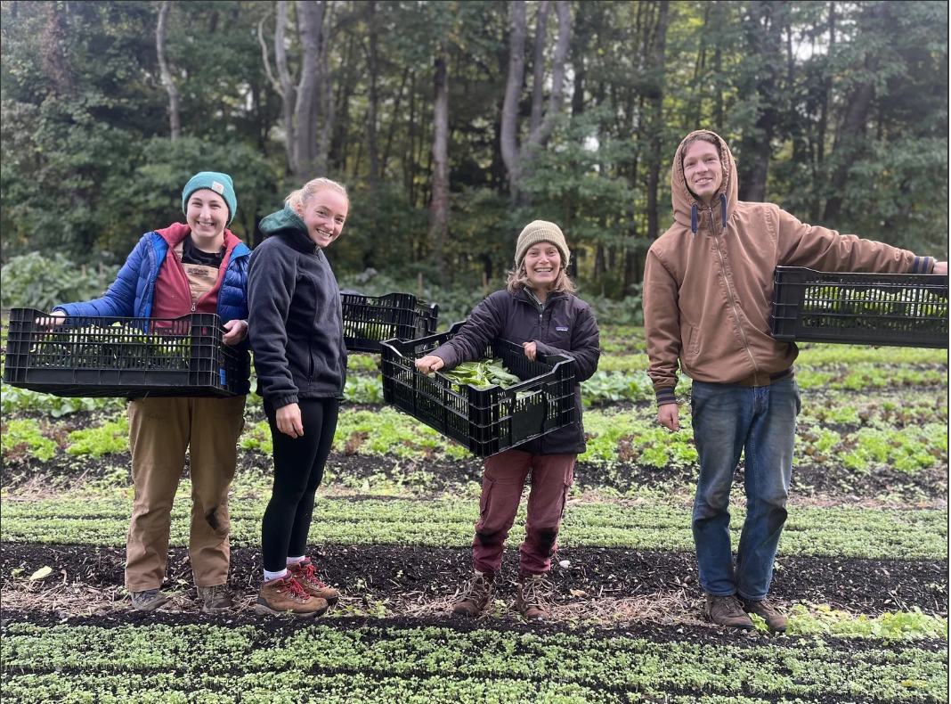 Fresh Roots Farm U-Harvest