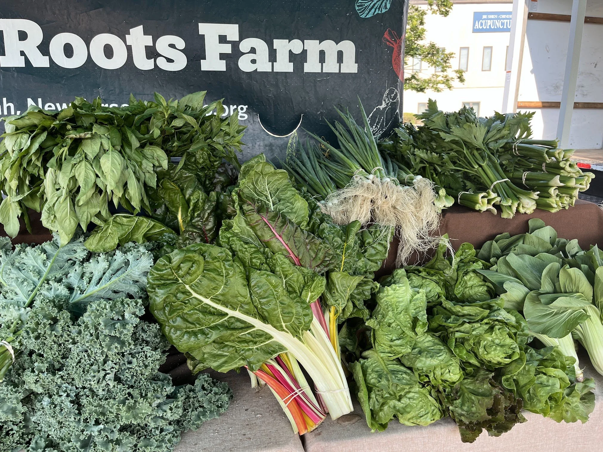 Fresh green leafy vegetables on display at Roots Farm market stall.