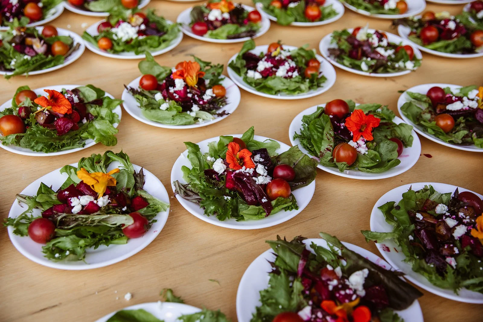 Mevofarmfeast2023-217.jpg