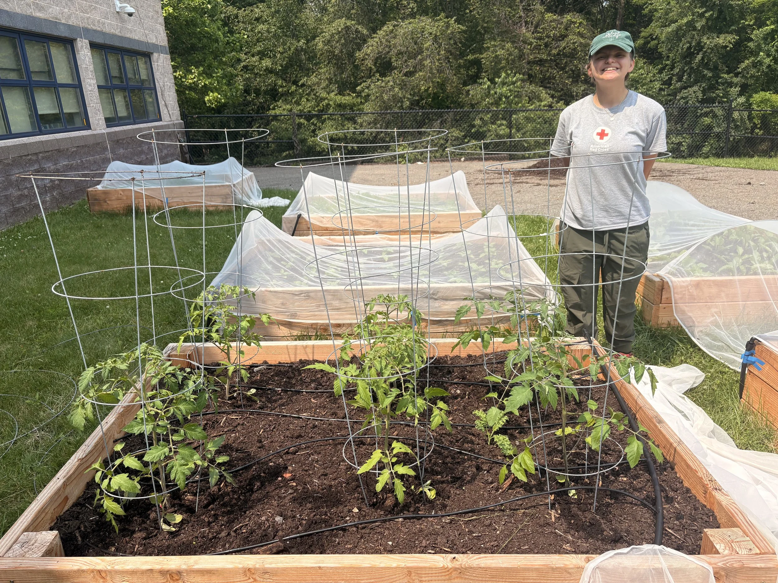 A young girl standing next to a vegetable garden with tomato plants supported by wire cages, some of which are covered with protective plastic covers, in a backyard with green trees and a building in the background.
