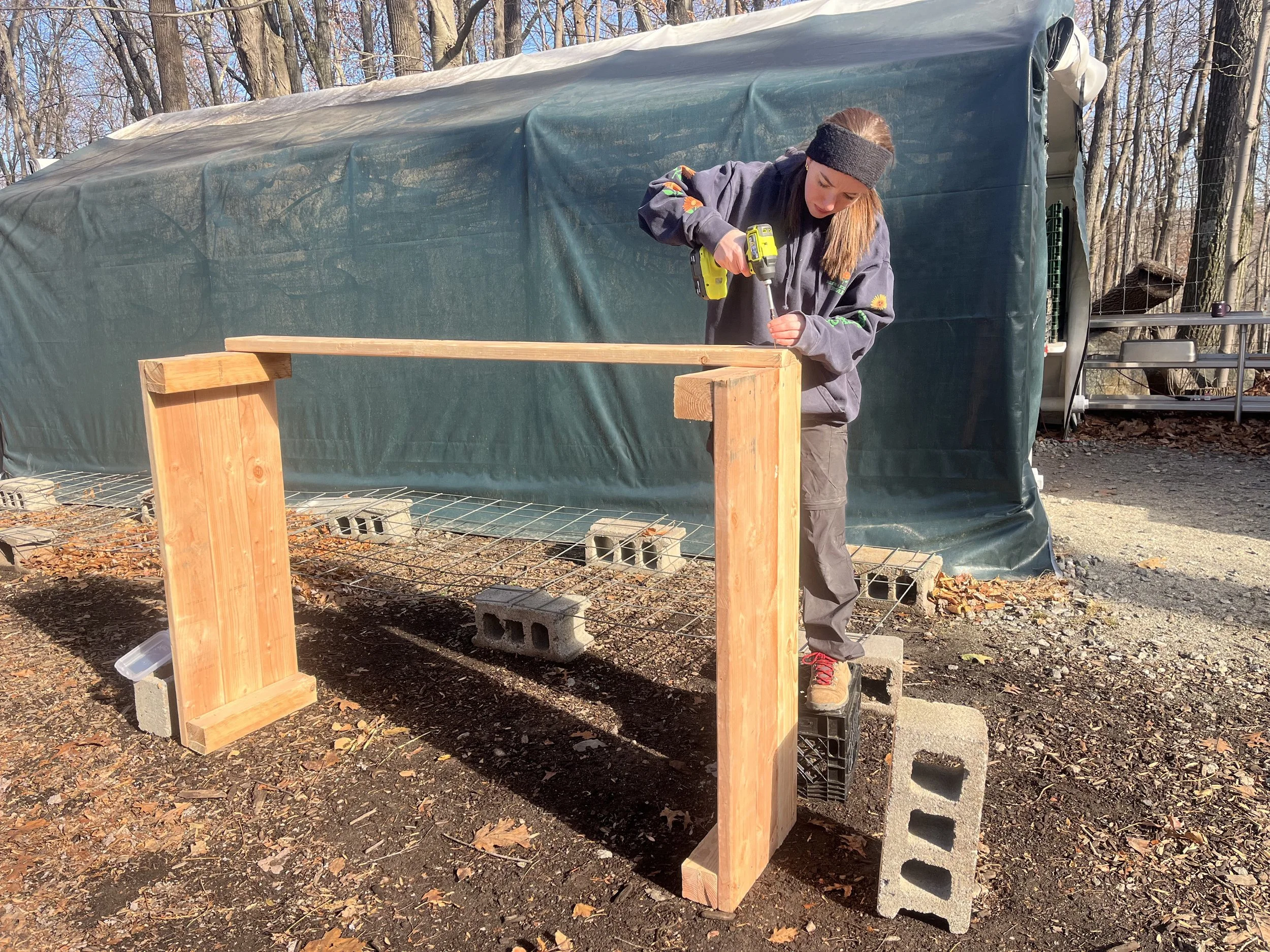 A woman is working outdoors, using a drill on a wooden structure made of three vertical and one horizontal piece of lumber, on top of cinder blocks, near a green tarp-covered shelter, with trees and leaf-covered ground in the background.
