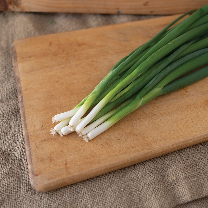 scallion.jpg