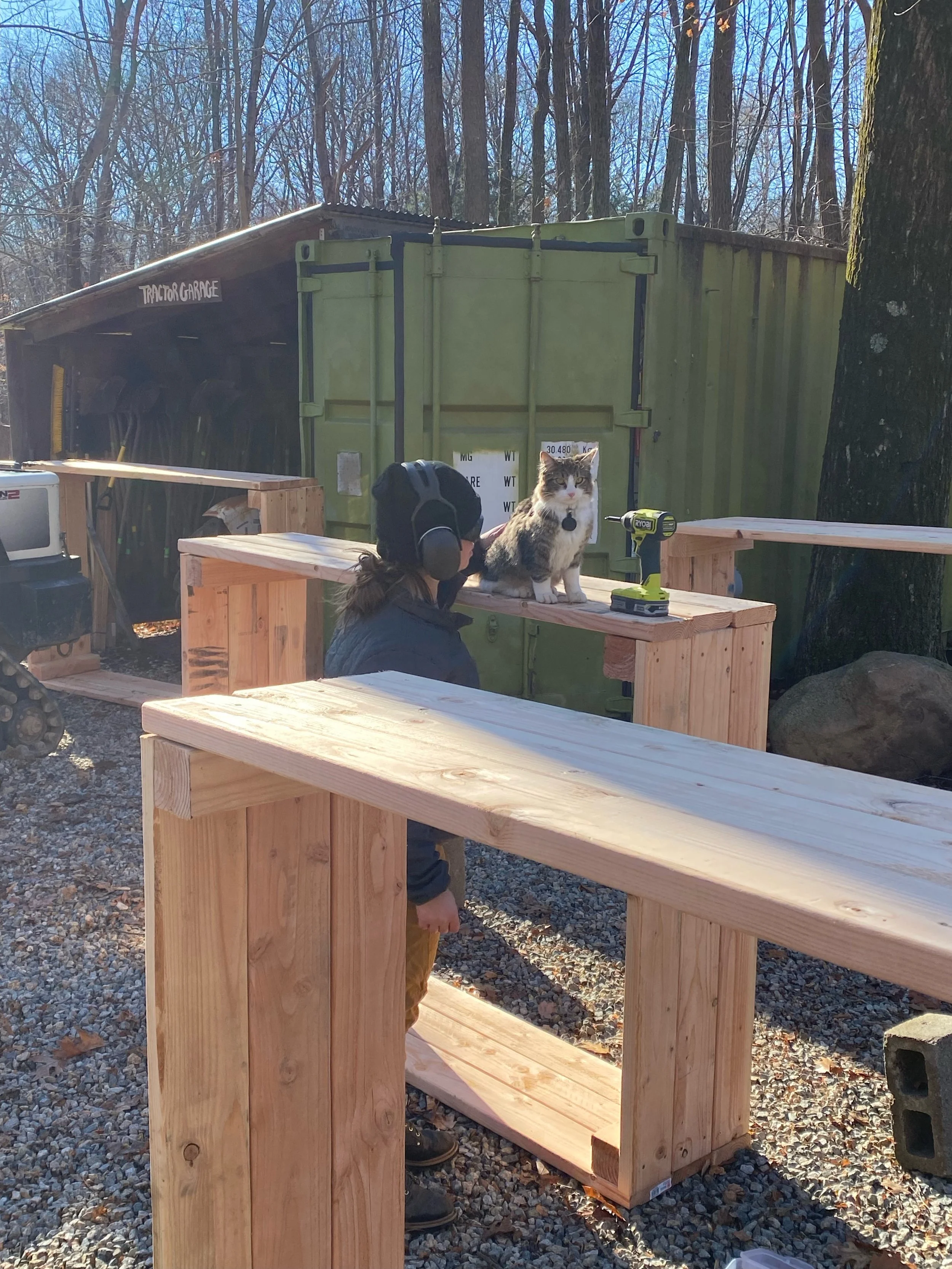 Person working on a woodworking project outdoors with a cat sitting on a wooden piece, LED flashlight, and tools, in front of a green shipping container and a wooded area.