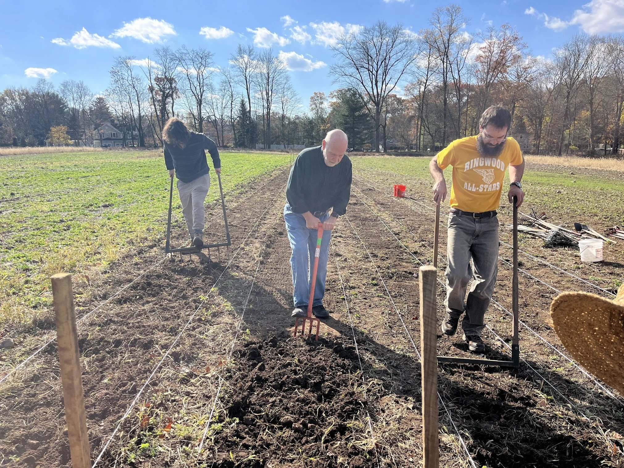 Three people working in a vegetable garden on a sunny day, planting or tending to rows of soil with string guides, with trees and houses in the background.