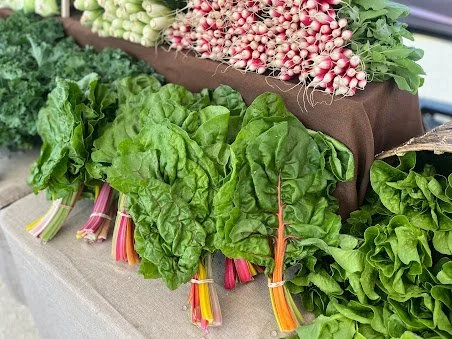 Fresh leafy vegetables and radishes on a market stall tabletop.