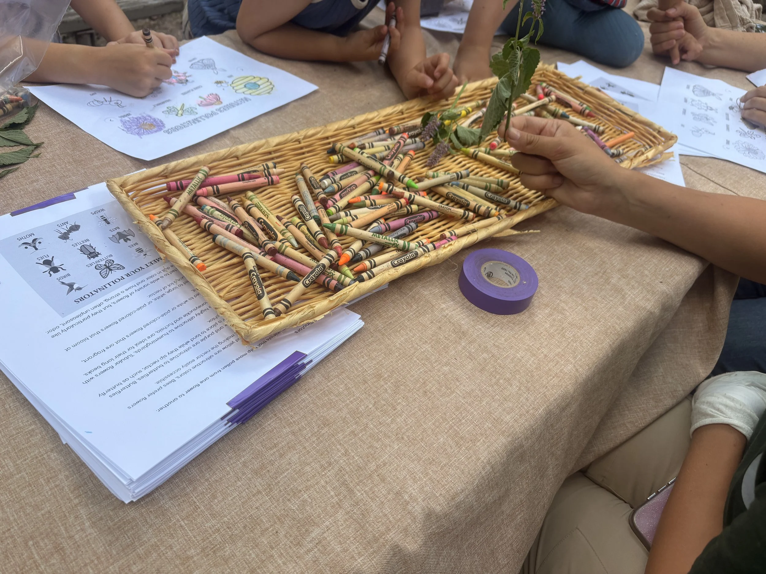 A person holding a leaf and lavender sprig over a woven basket filled with crayon shavings, surrounded by children drawing and coloring with printed coloring sheets and a roll of purple tape on a tan tablecloth.