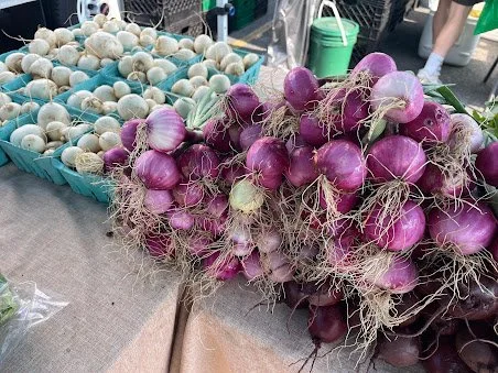 Bunches of purple and white onions displayed on a market table.