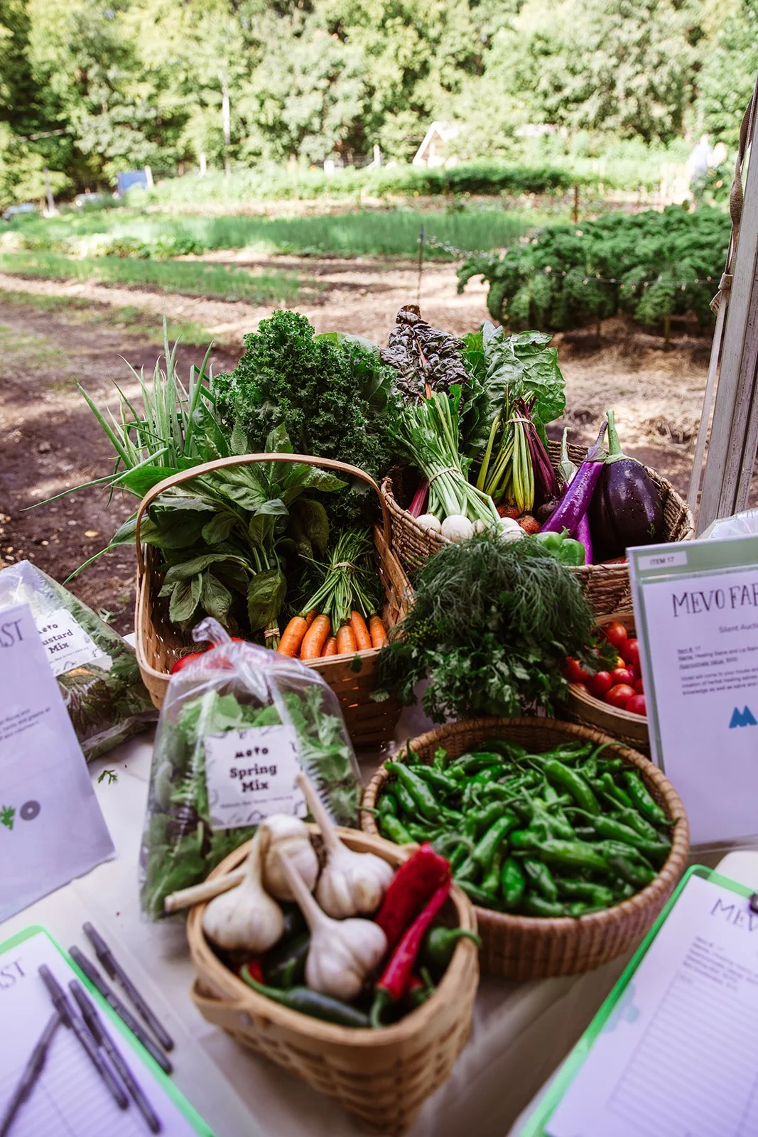 Mevofarmfeast2023-4.jpg