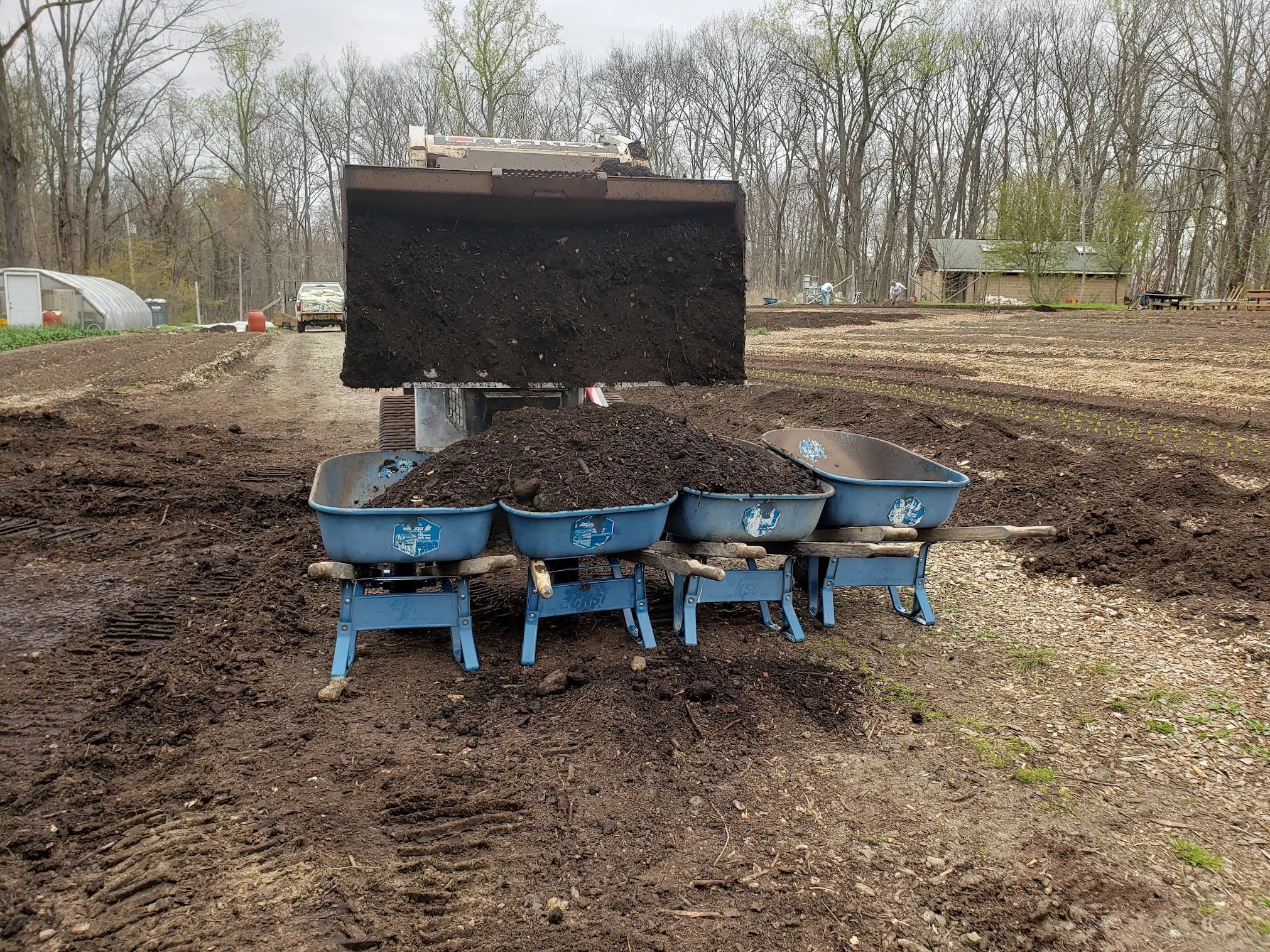 A construction site with three blue wheelbarrows filled with dark soil in front of a large soil-moving machine. The machine is dropping soil into the wheelbarrows, and there are trees, a greenhouse, and a house in the background.