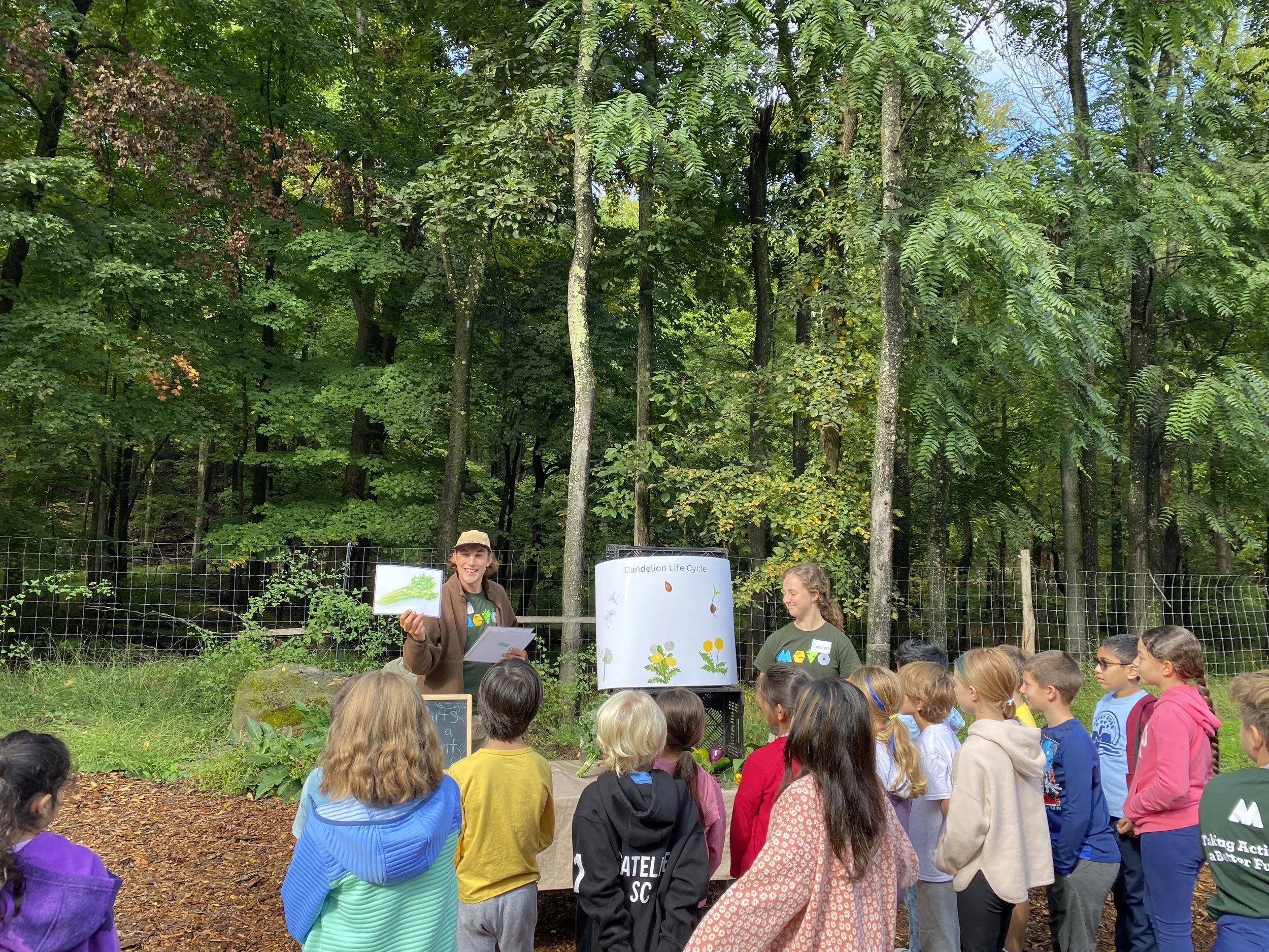 A group of children attending an outdoor educational presentation about the dandelion life cycle, led by a woman holding a picture of a dandelion. The scene is set in a wooded area with trees and a fence in the background.