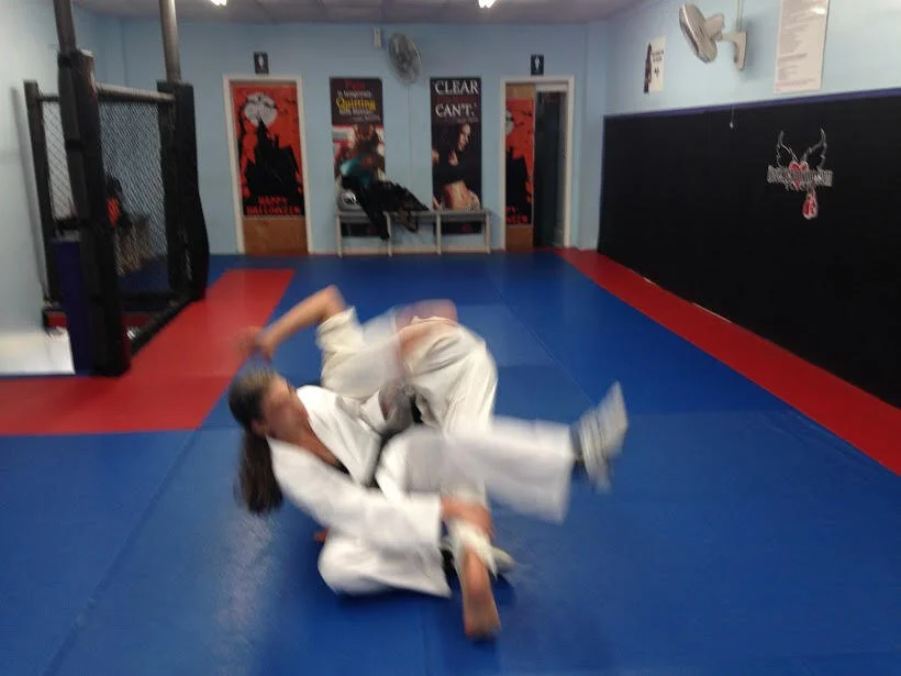 TWO brothers and their training