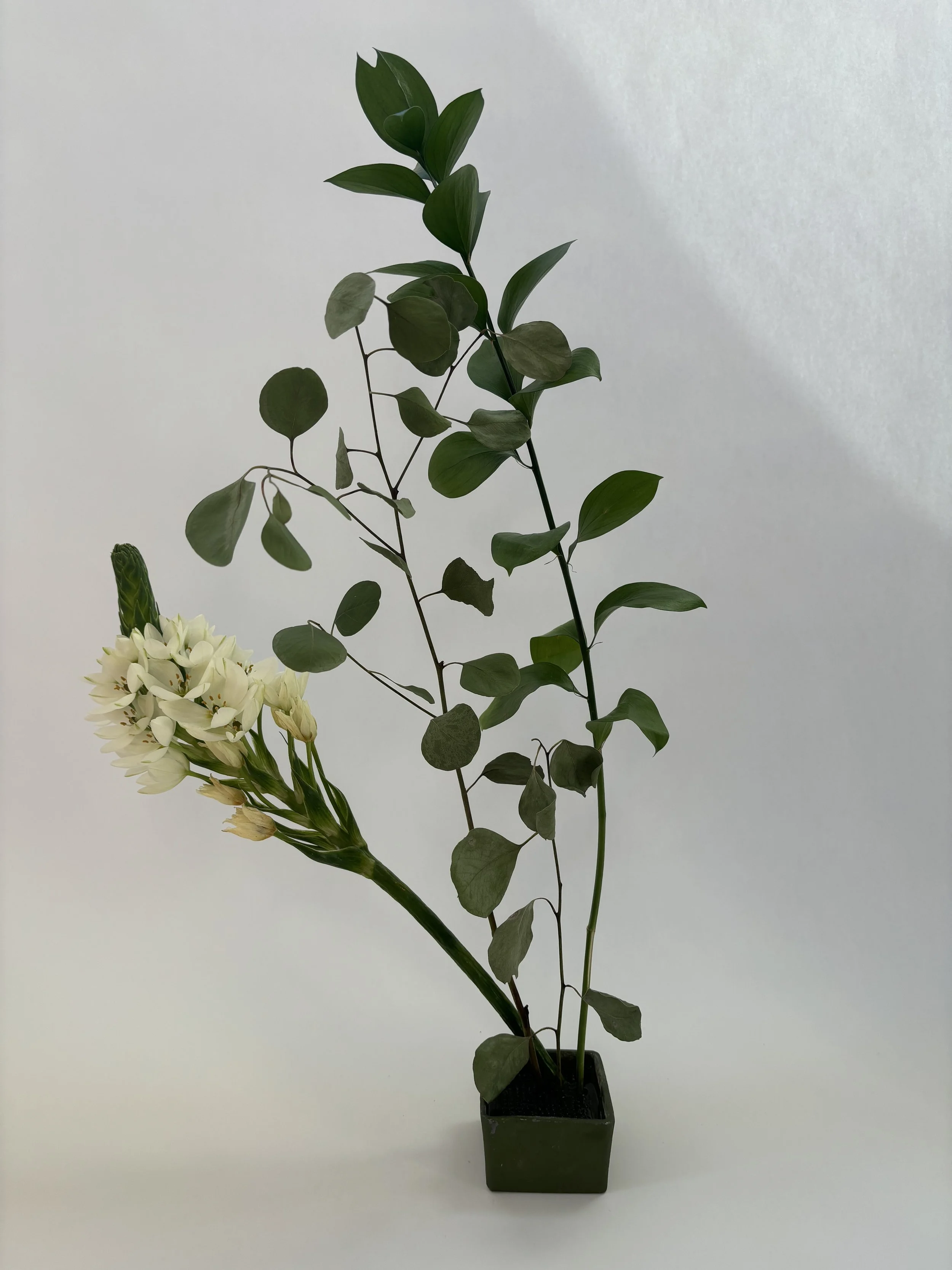 Flowers as Teachers for Joy… and Mindfulness