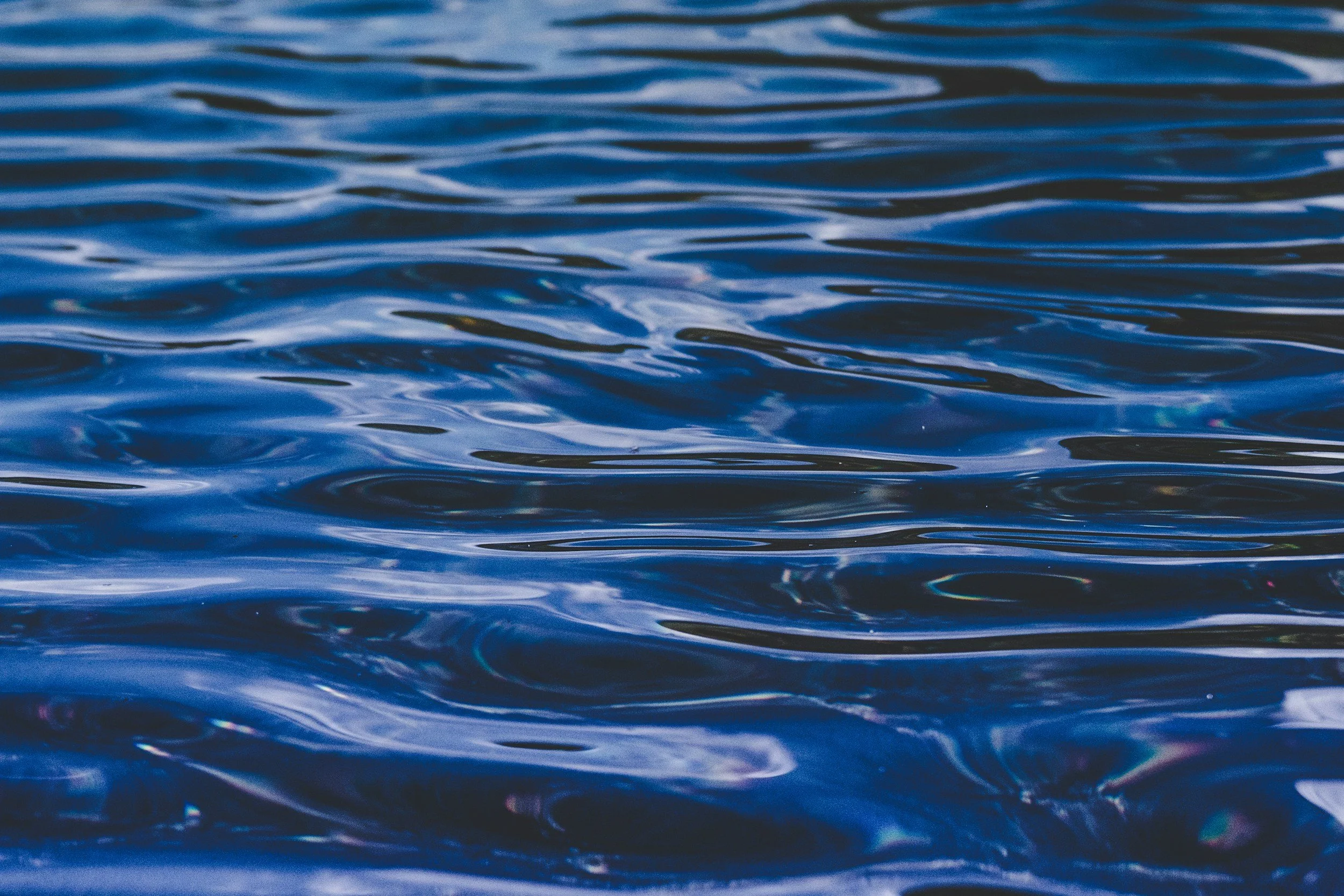 Meditation on Impermanence