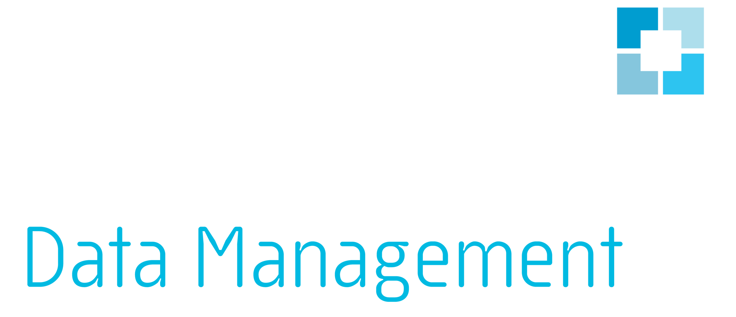 Blackland Data Management