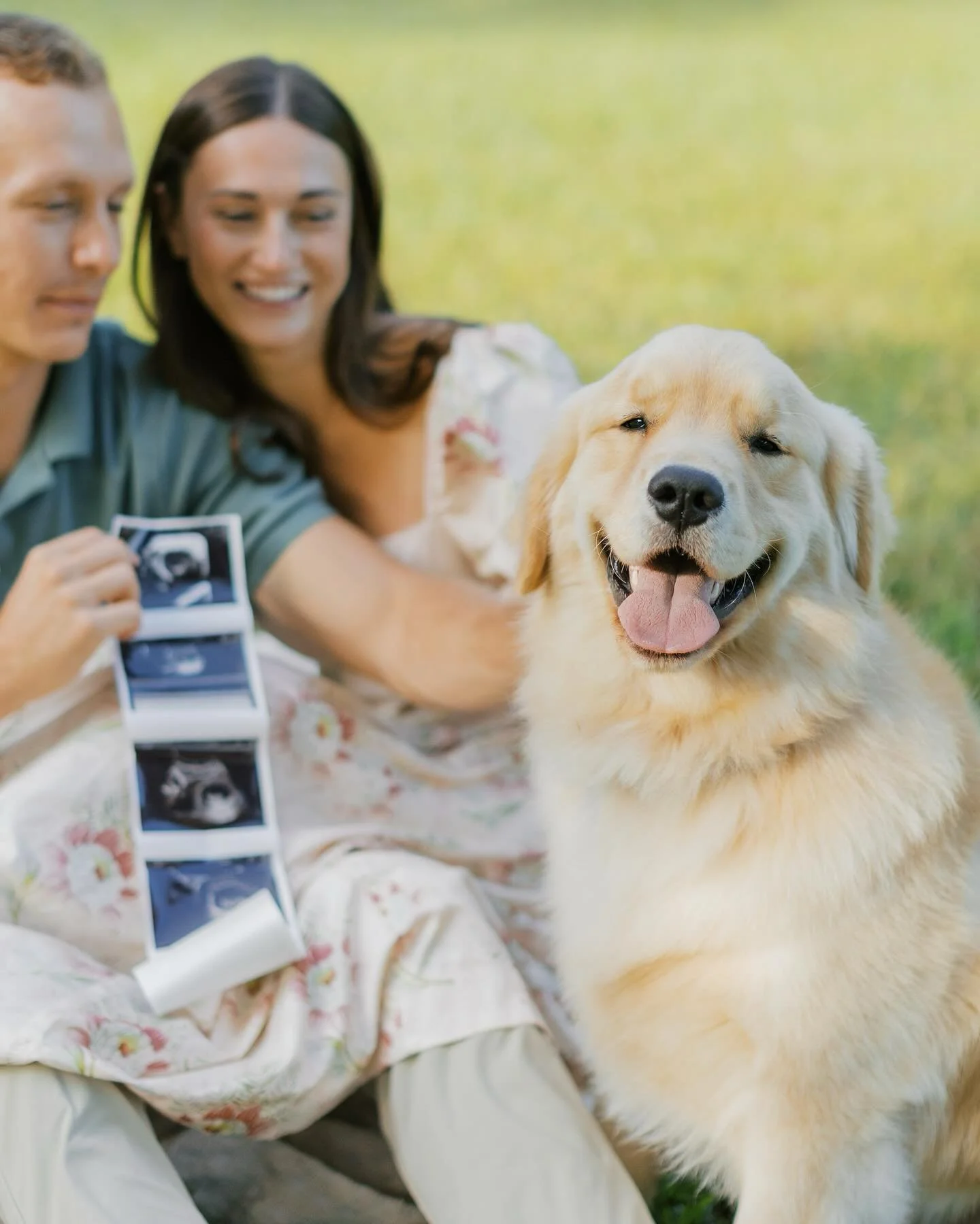 A little one on the way for Reagan, Blake &amp; Bruce 🐾

#pregnancyannoucement #raleighphotography #raleighnc #raleighphotographers #eastcoastphotography