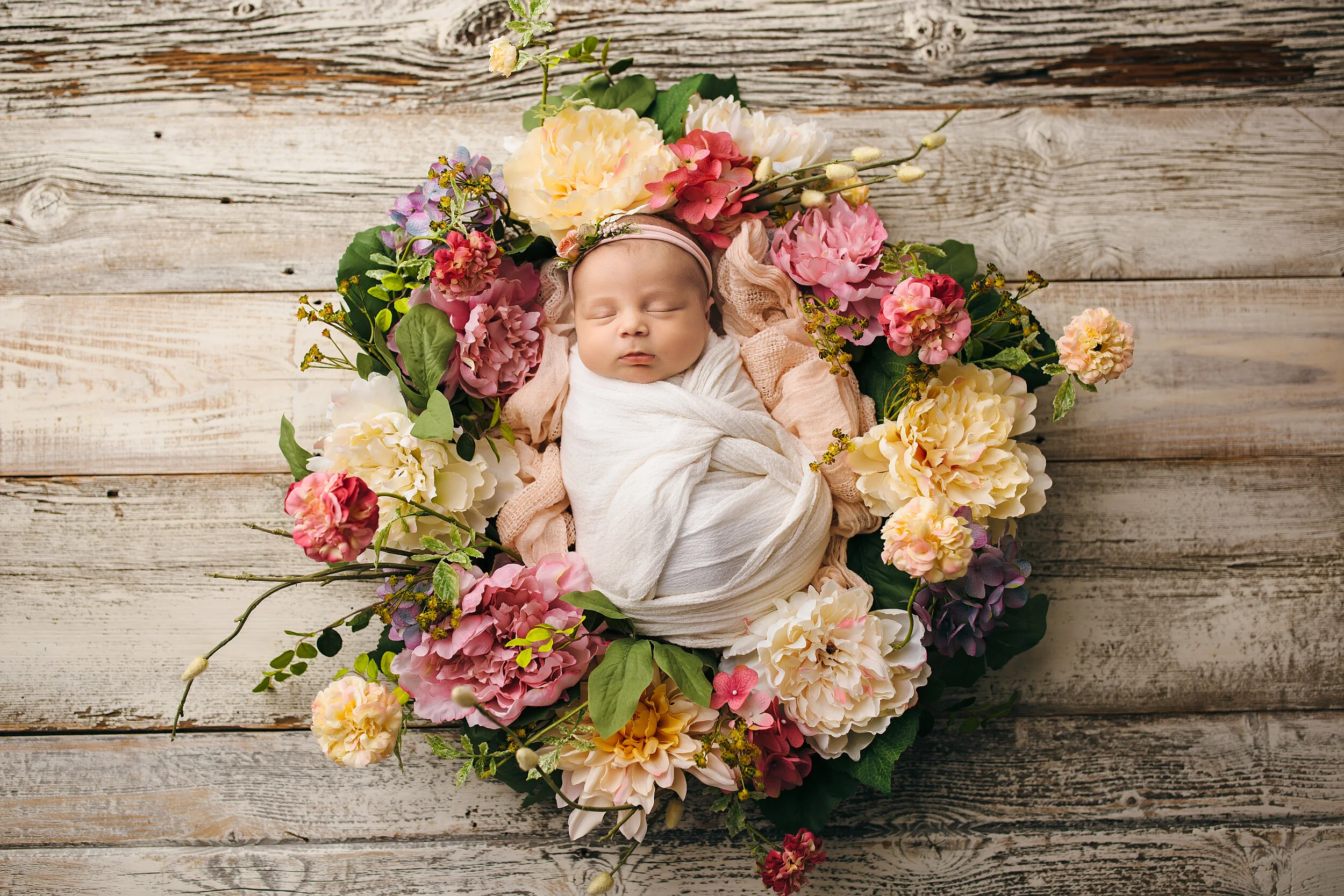 Pearland Fine Art Newborn Photos