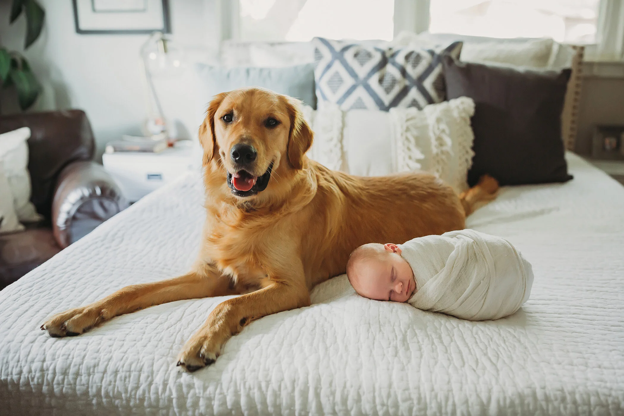 Houston Lifestyle Newborn Photogapher