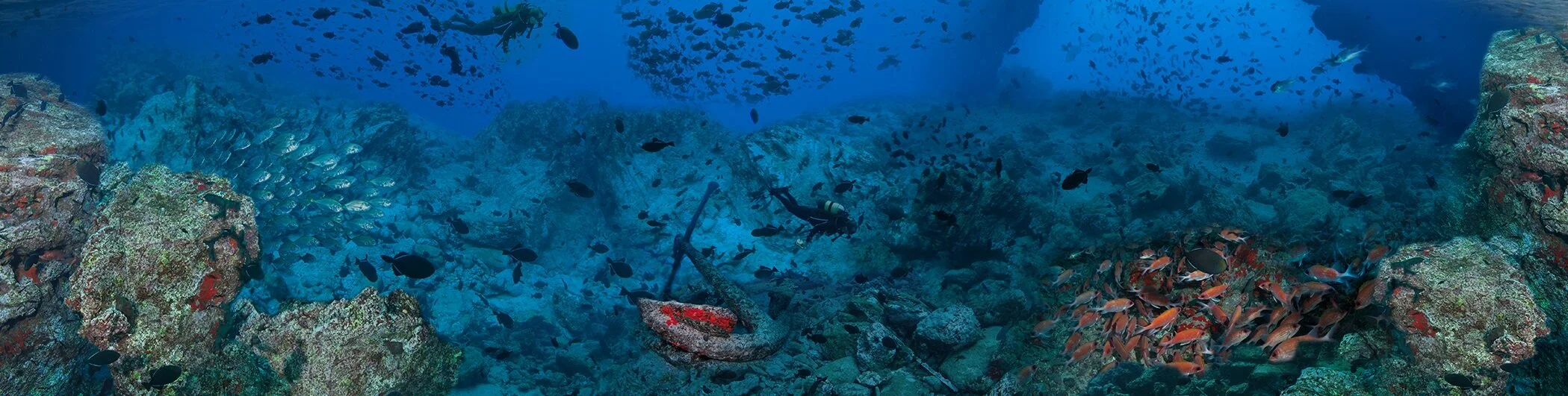 Ascension Island 1 - credit Paul Colley (1).jpg