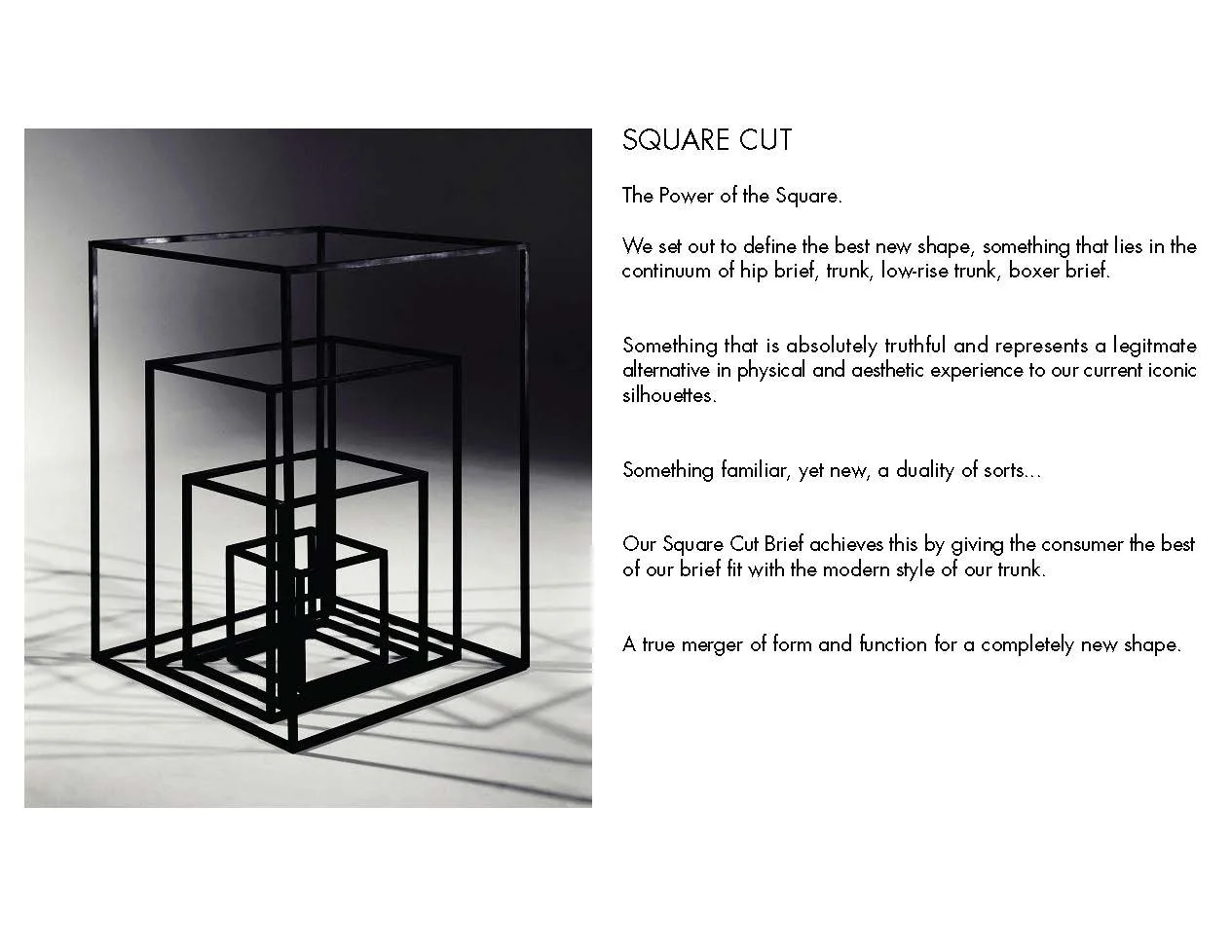 Presentation launch sp14_Page_06.jpg