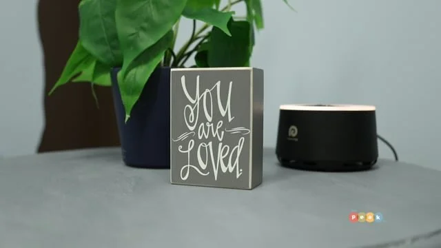 Girl Scouts and Salvation Army S17 E4