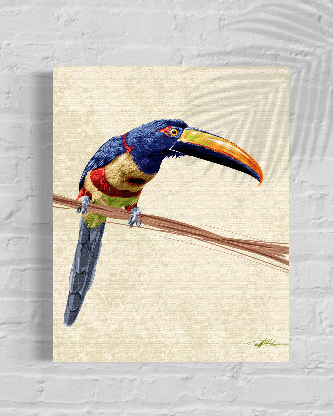 aracari_16x20-canvas.png