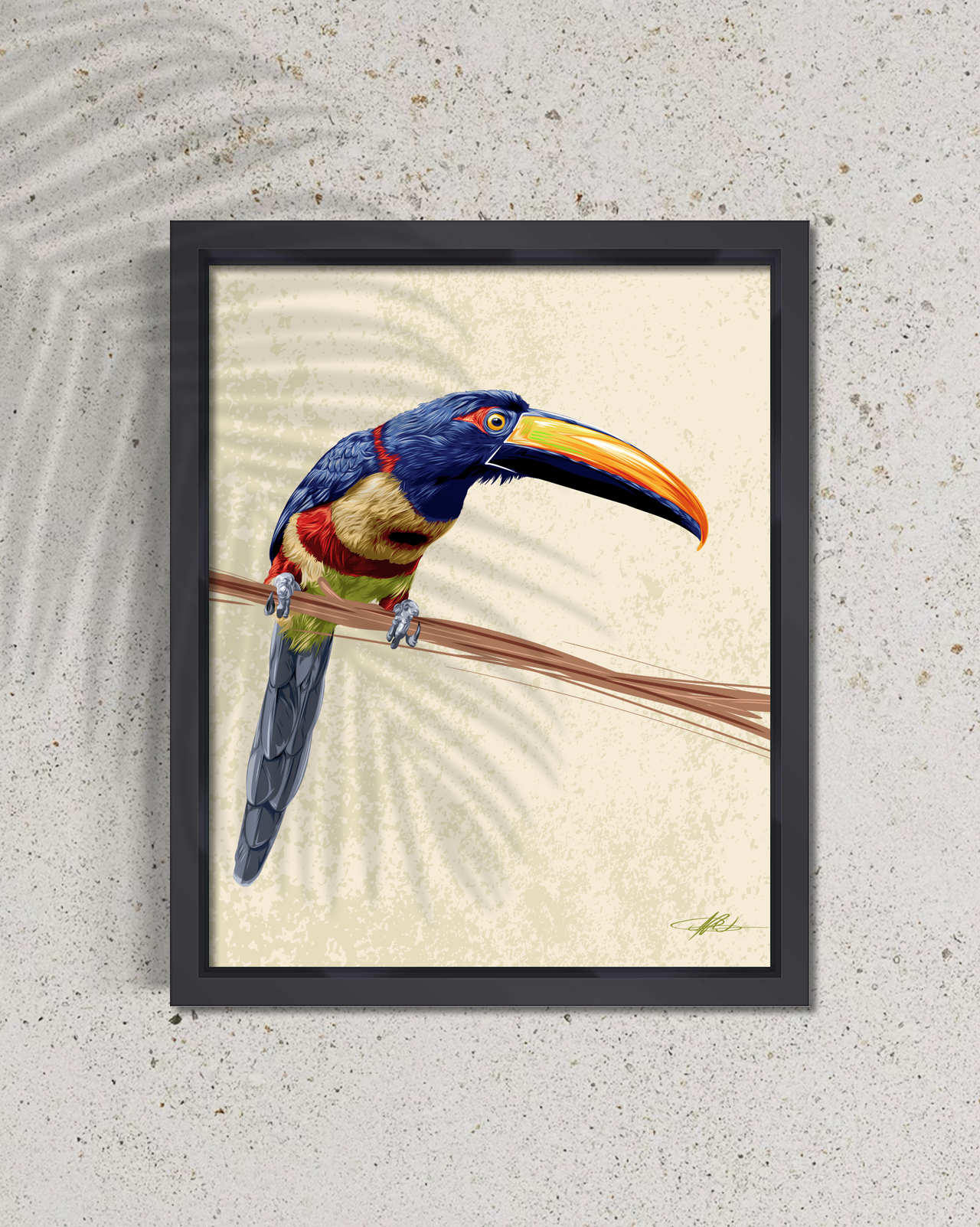 aracari_16x20-frame.png