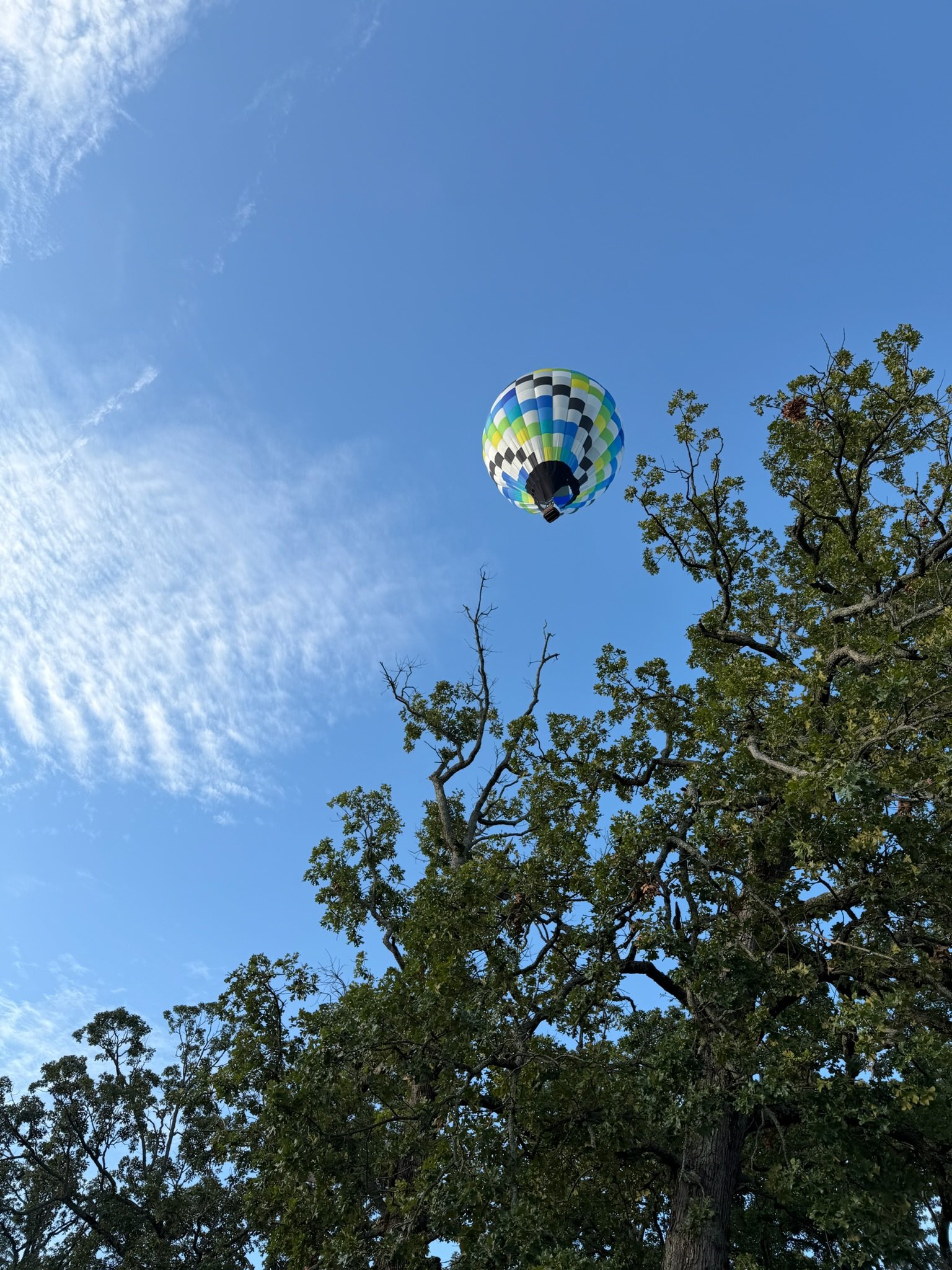 IMG_6853.jpeg