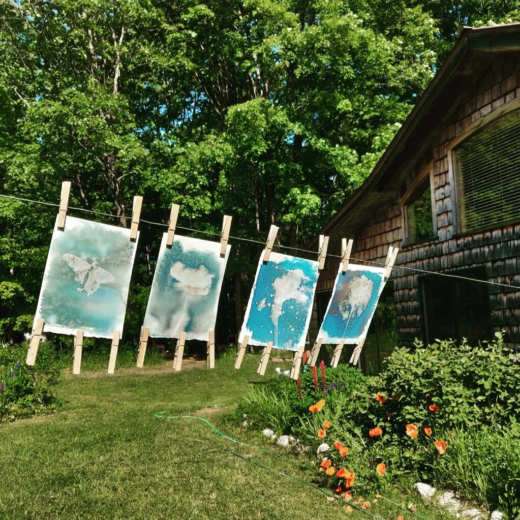 cyanotype photostock 2019.jpeg