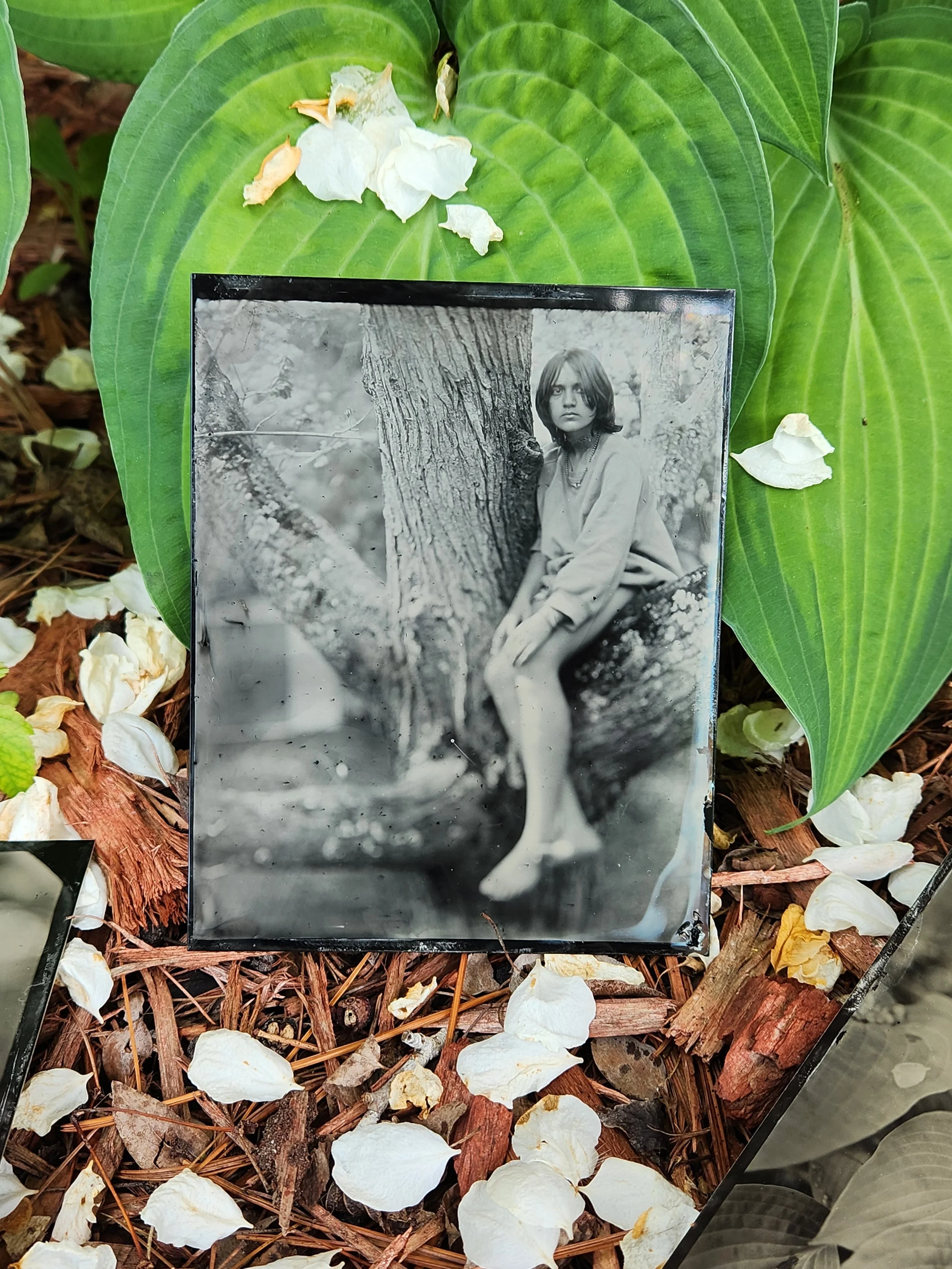 Elly in tree tintype.jpg