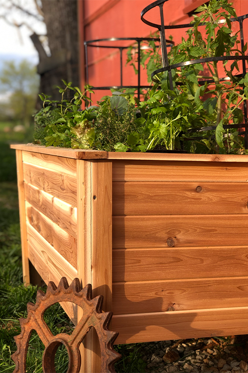 Cedar Boxes | 2' x 4' — Kentucky Lumber
