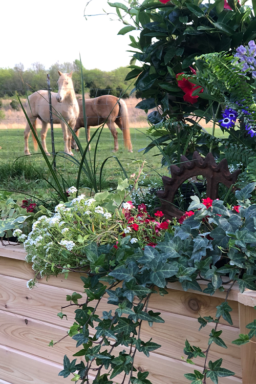 Cedar Planter Boxes 2' x 2' — Kentucky Lumber
