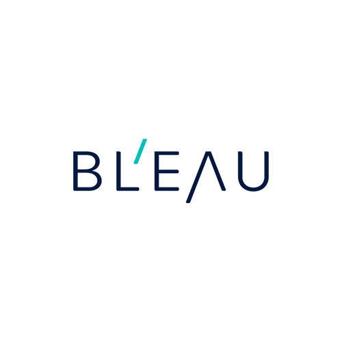 logo-bleau.png