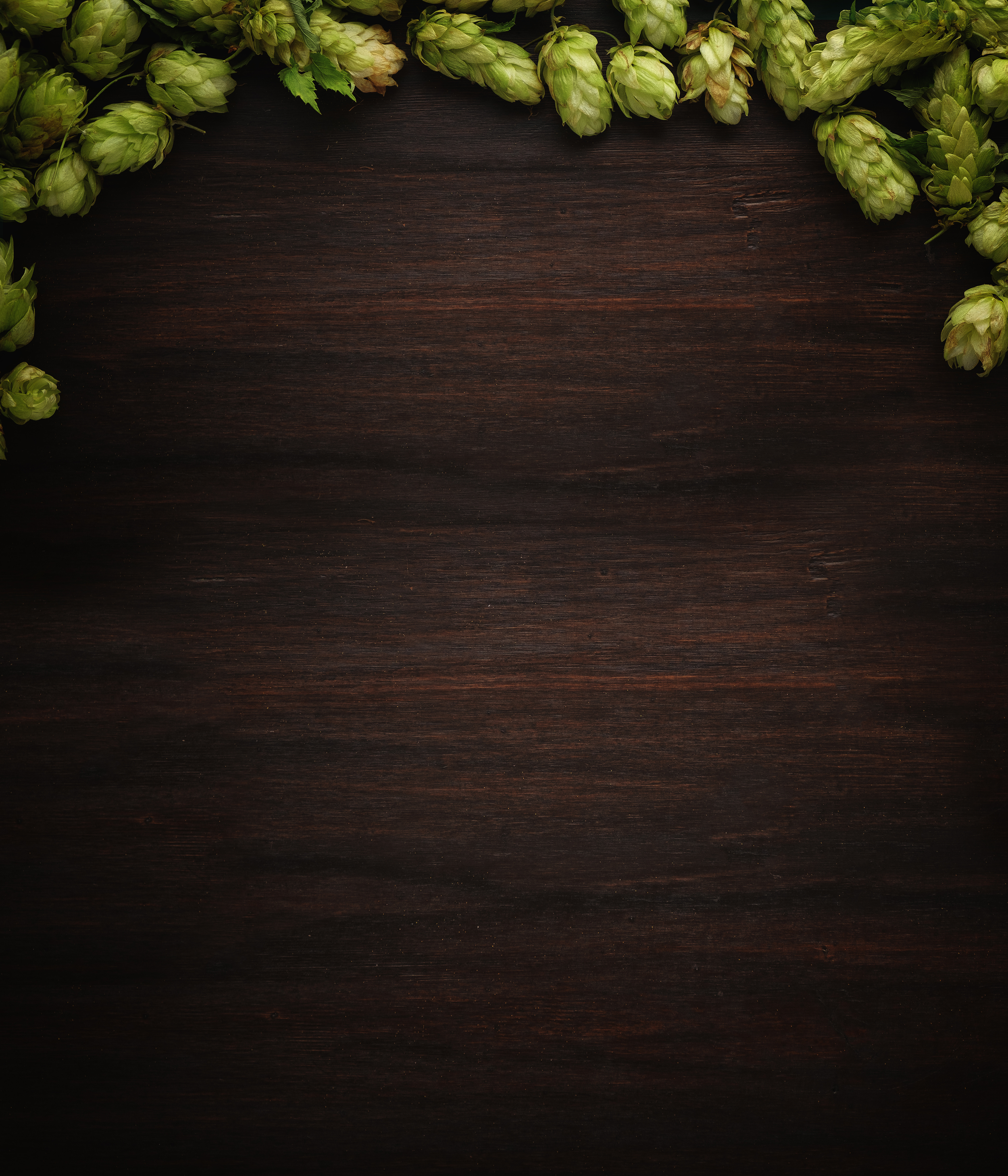 Hops on wood background 2 reduced.png