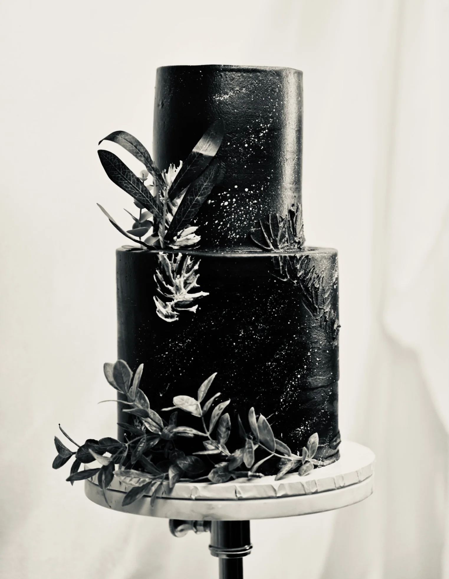 IMG_0168 (1).jpg