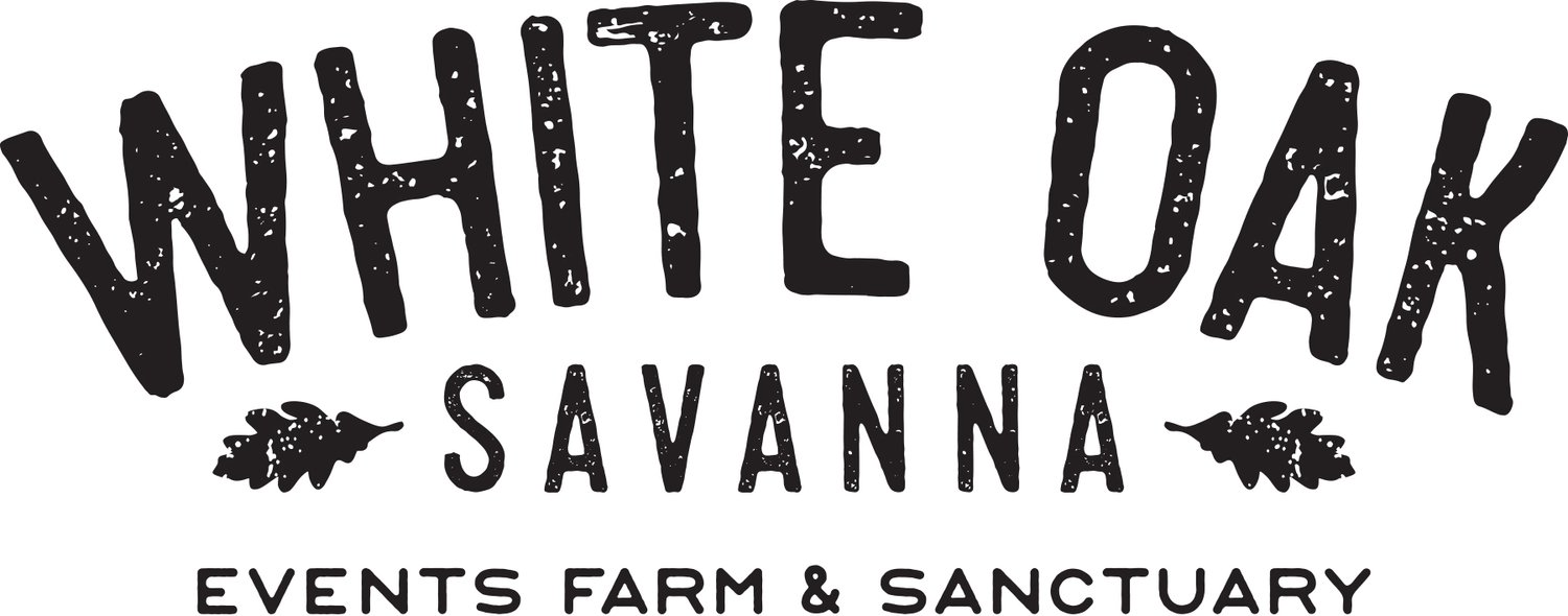 White Oak Savanna