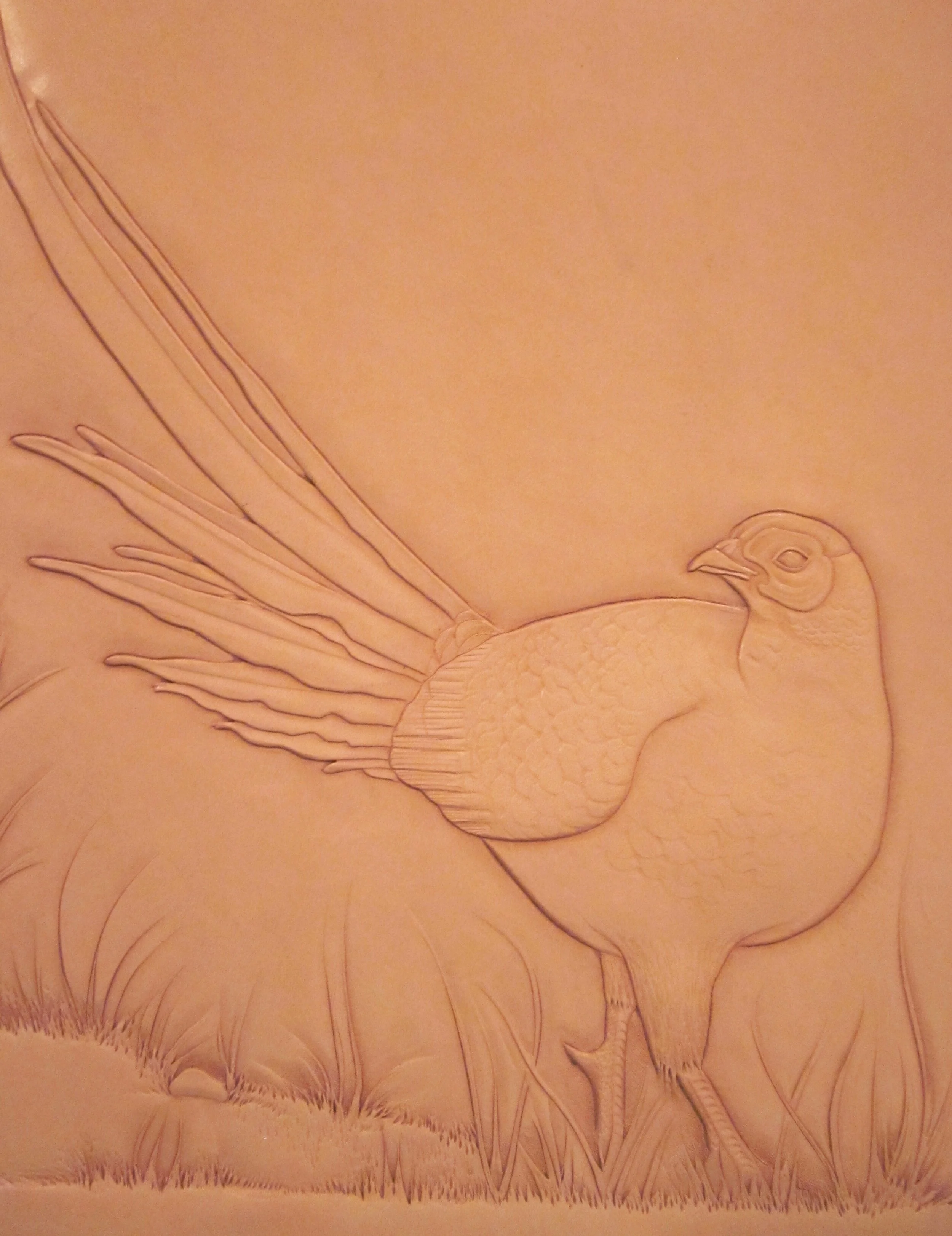 TW Pheasant PC.JPG