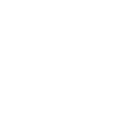 dayz.webp
